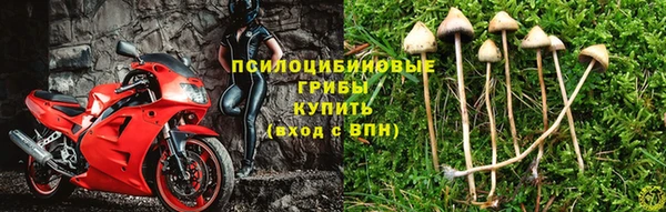таблы Аркадак