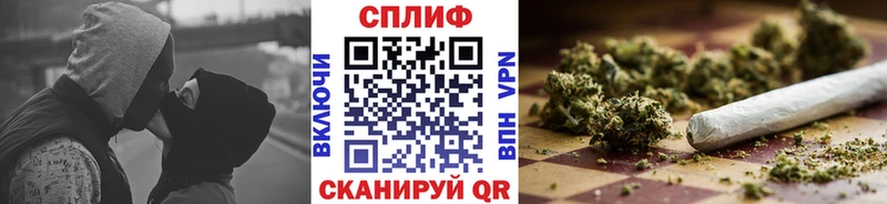 Конопля гибрид Волжский